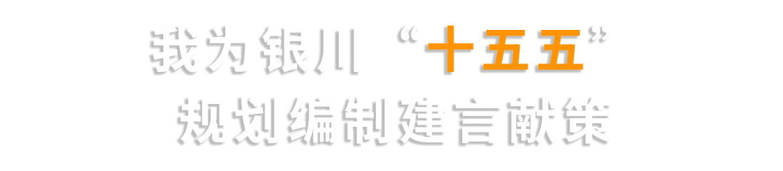 我為銀川“十五五”規劃編制建言獻策